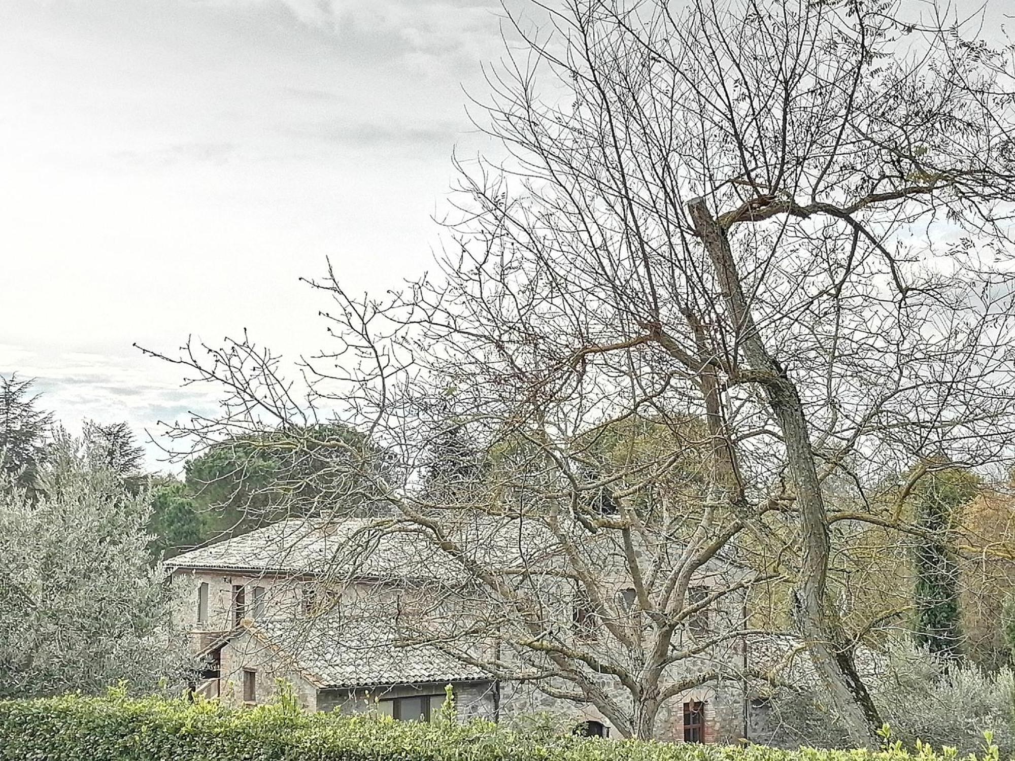 卡纳里诺农家乐2号 Castel Viscardo 外观 照片
